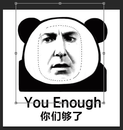 图片14.png